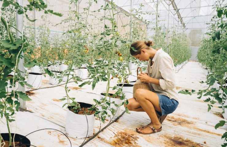 Nuovi orizzonti per l'agricoltura