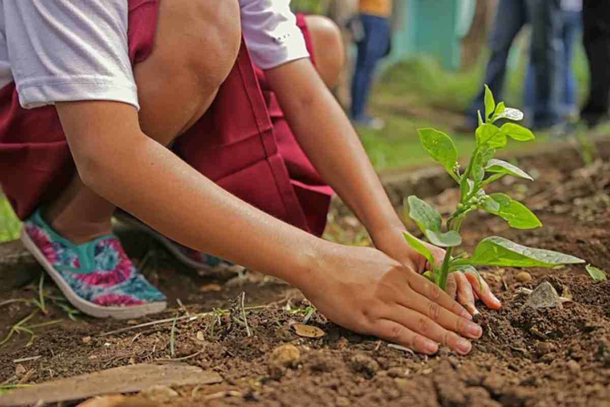 Il legame tra verde e natura