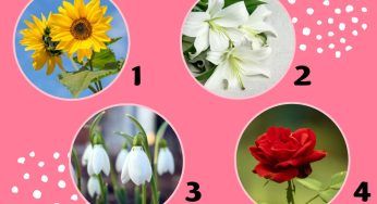 Scegli tra uno di questi fiori e scoprirai il tuo lato più nascosto, nessuno lo vede
