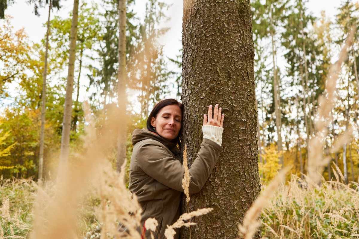 forest bathing