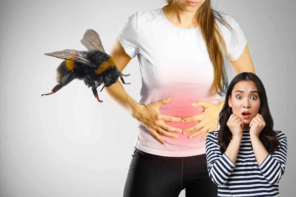 Cosa fare se hai mangiato un calabrone