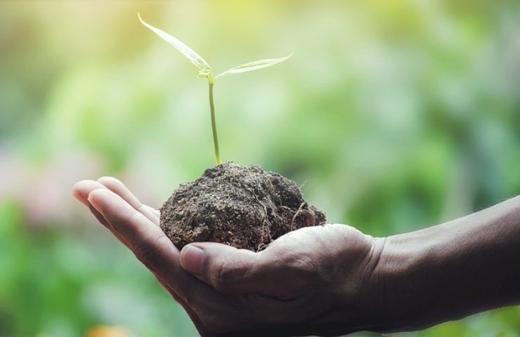 Il legame tra verde e natura