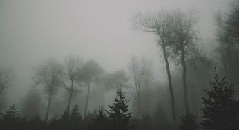 Se vedi questo, corri: cosa nasconde la nebbia