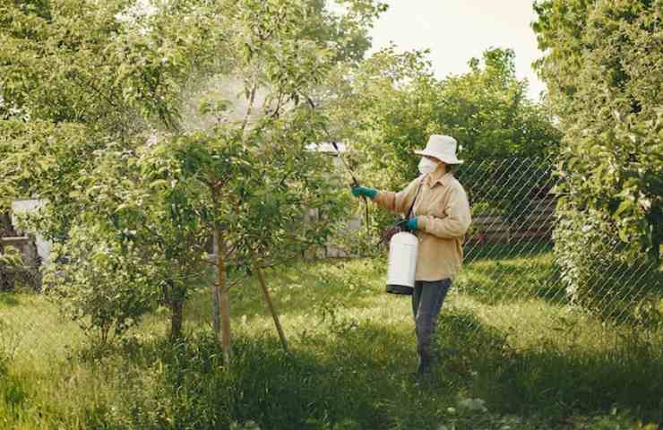 Aumenta l'allerta pesticidi