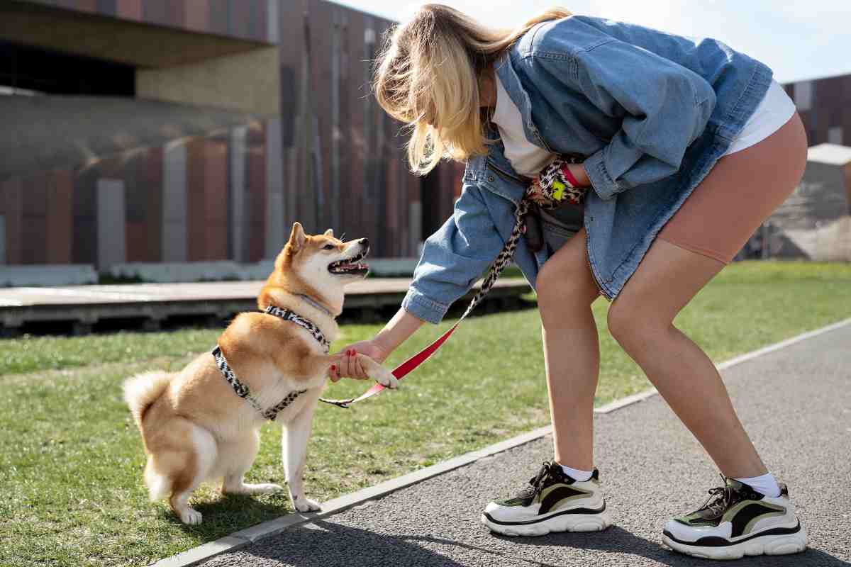 razze di cani con carattere difficile