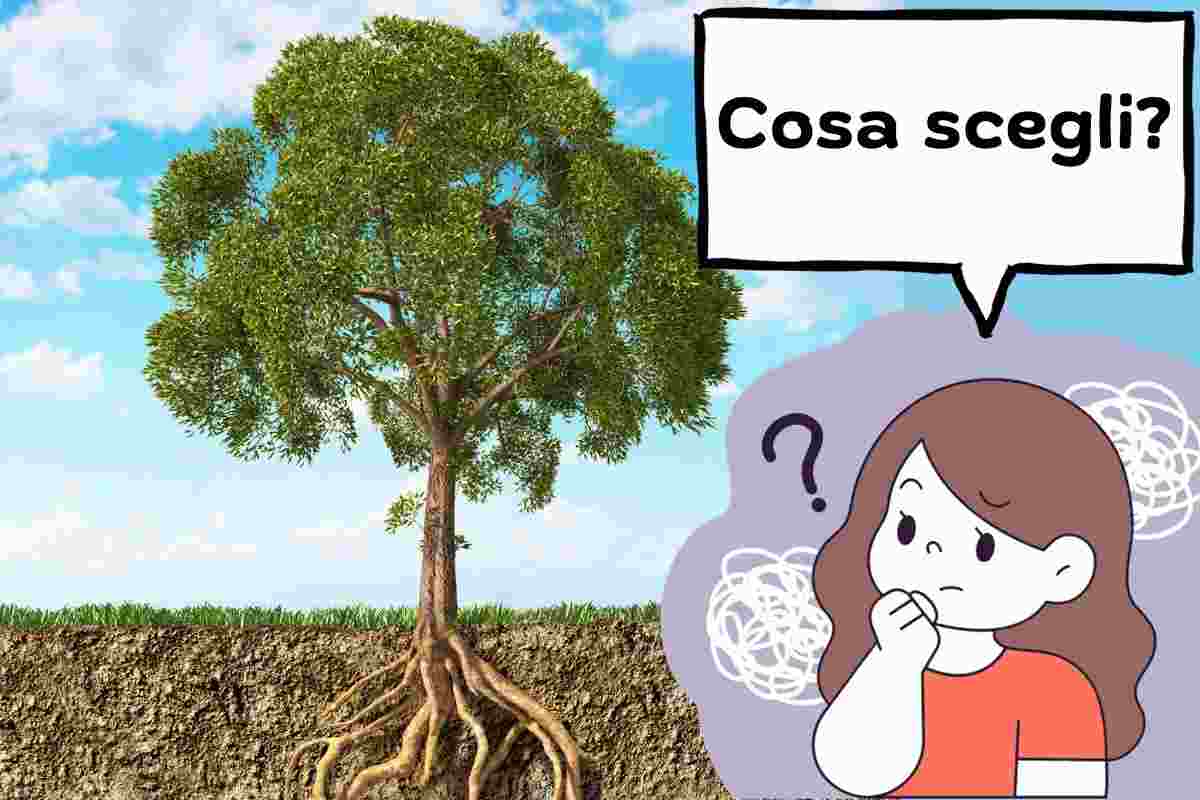 test personalità albero