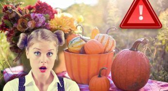 Zucca: occhio a quella che compri, potresti subire un avvelenamento