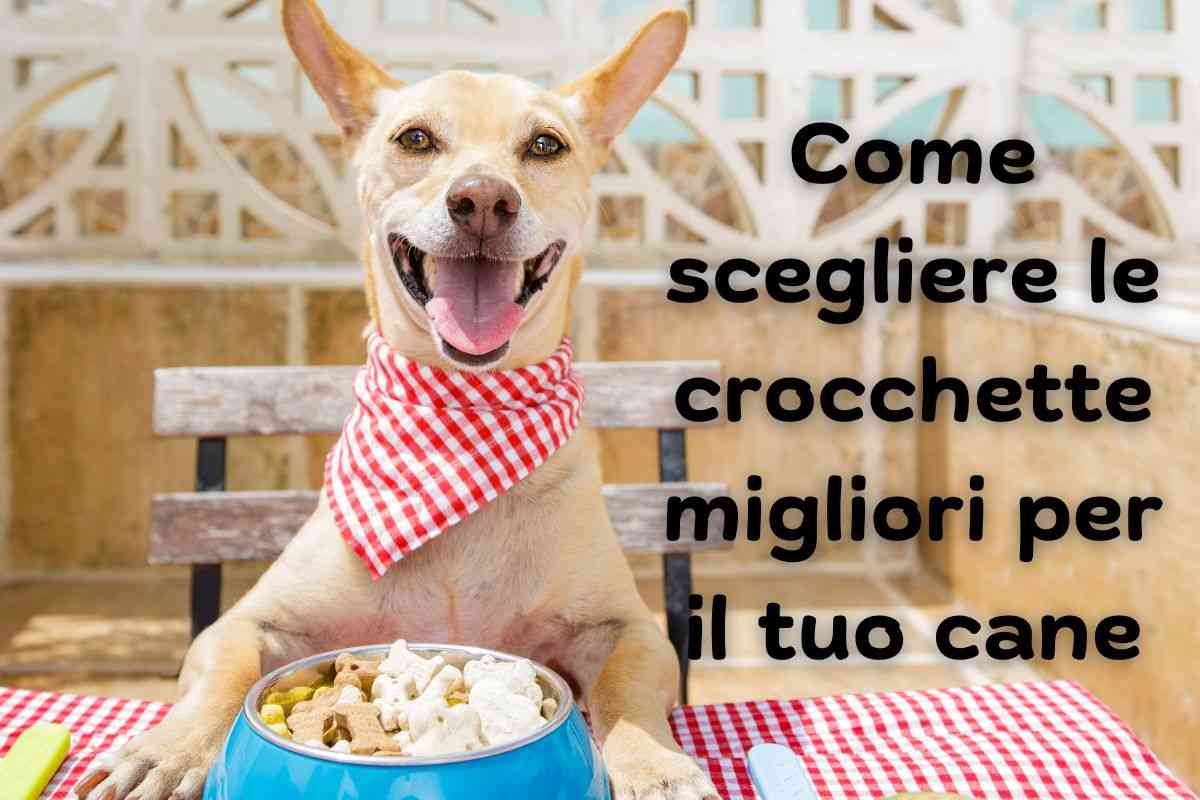 Il cane pronto a gustare il suo cibo nella ciotola