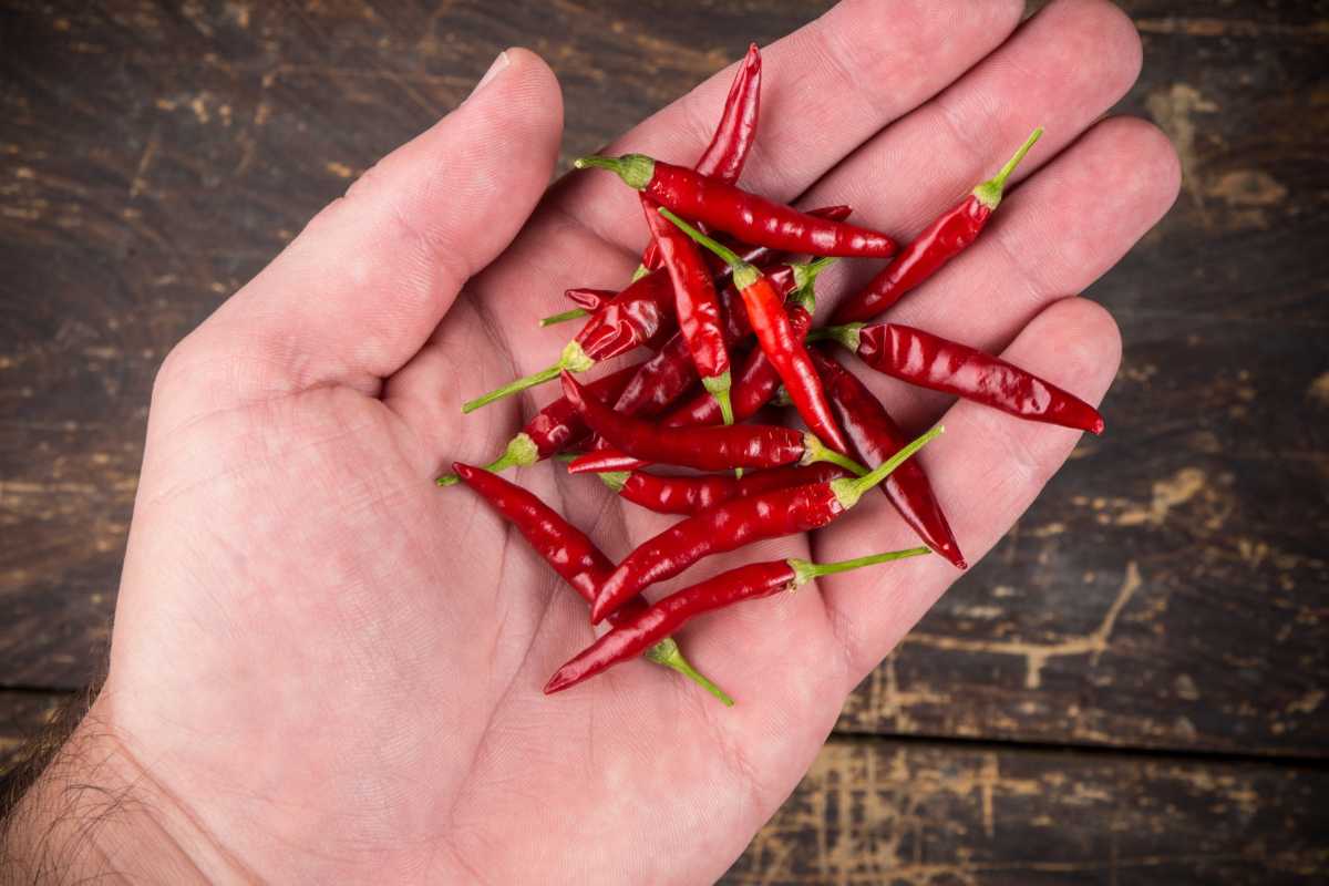 Utilizzare la polvere di peperoncino