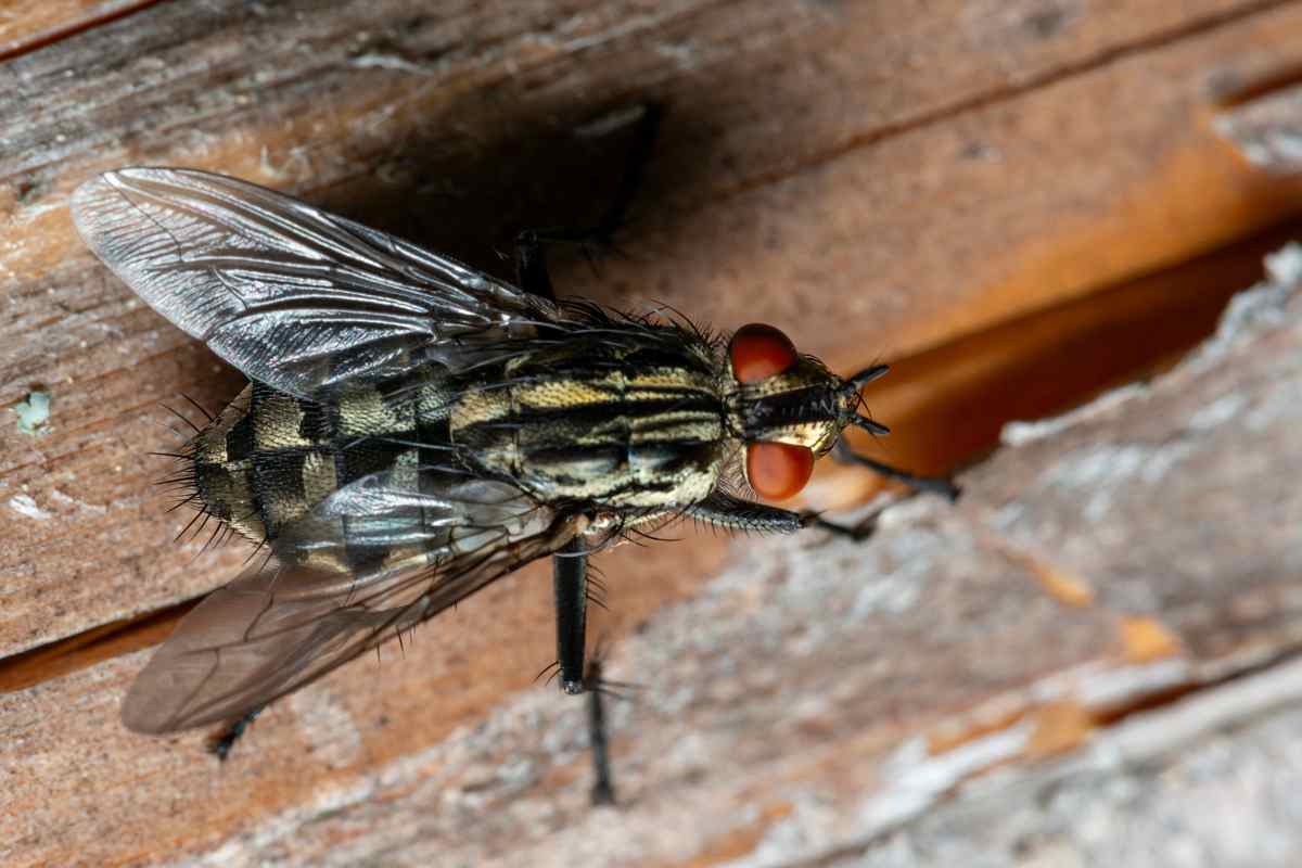 Potrebbe succedere qualcosa di brutto