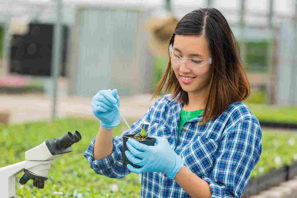 Un terreno agricolo a disposizione degli studenti