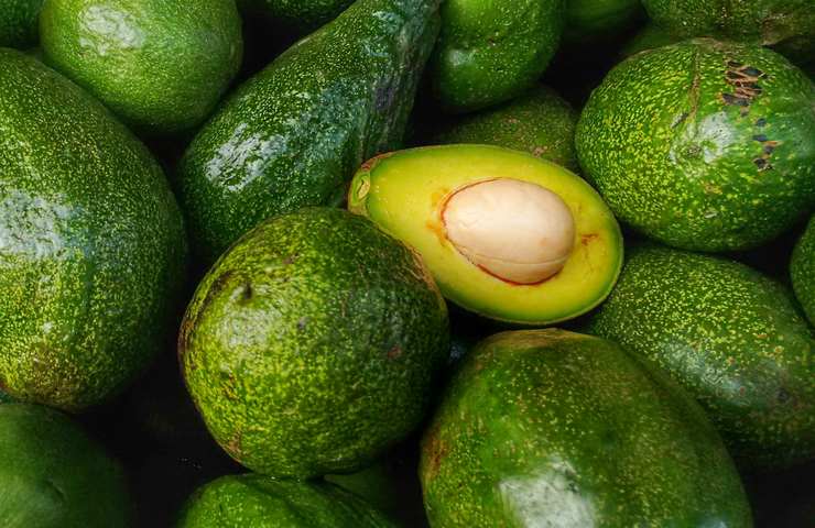 benefici avocado