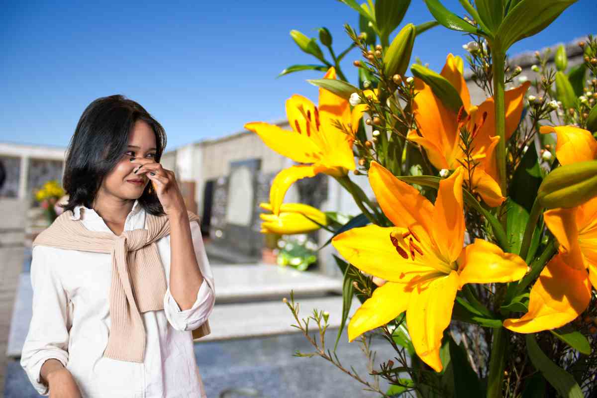 fiori cimitero