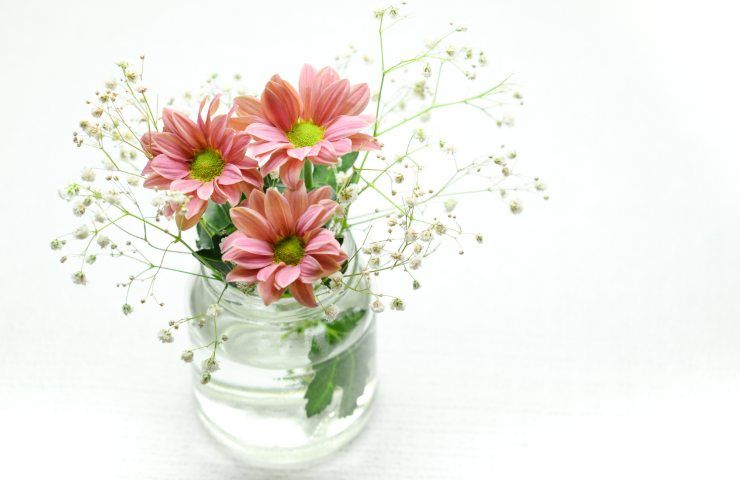 fiori in vaso come farli durare