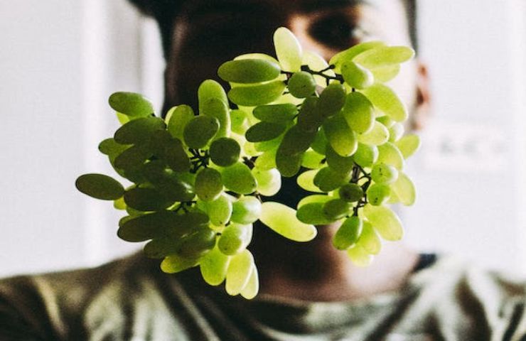 Il frutto che quasi nessuno mangia