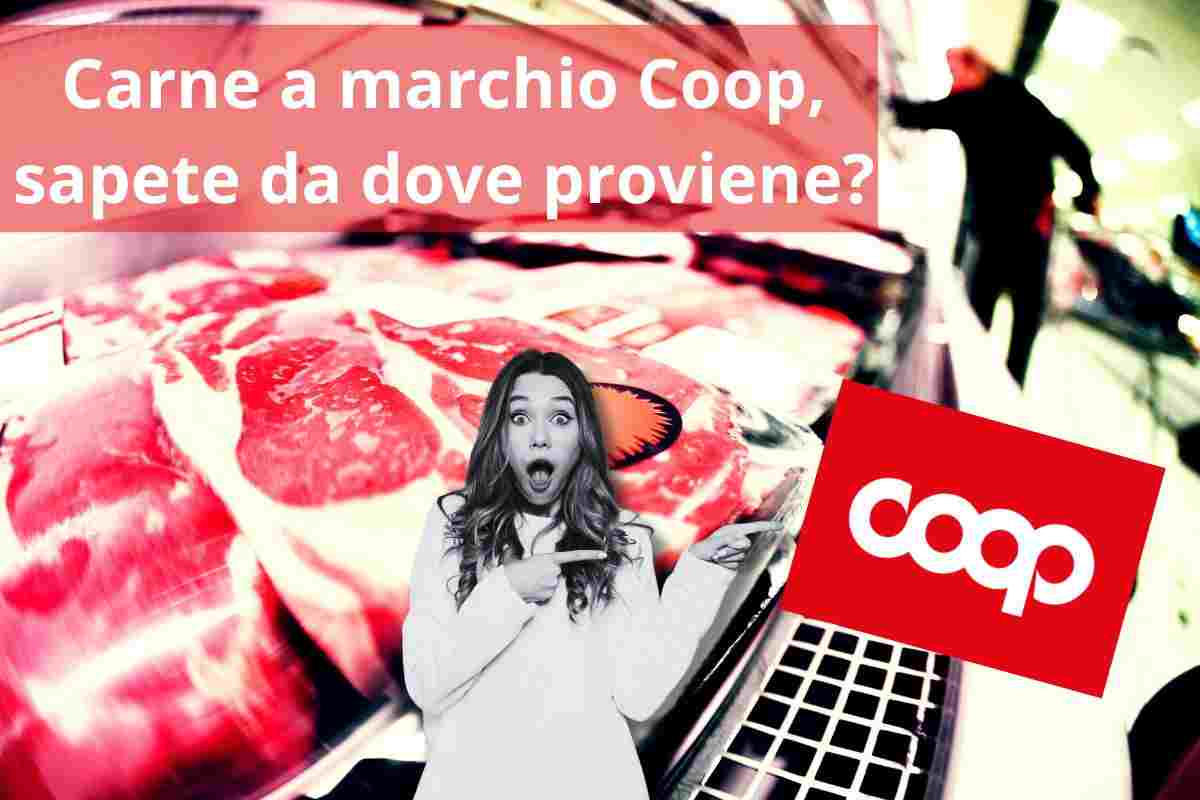 carne coop da dove viene