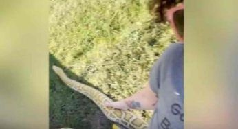 Questa famiglia convive con un “particolare” animale: un pitone birmano di 3 metri