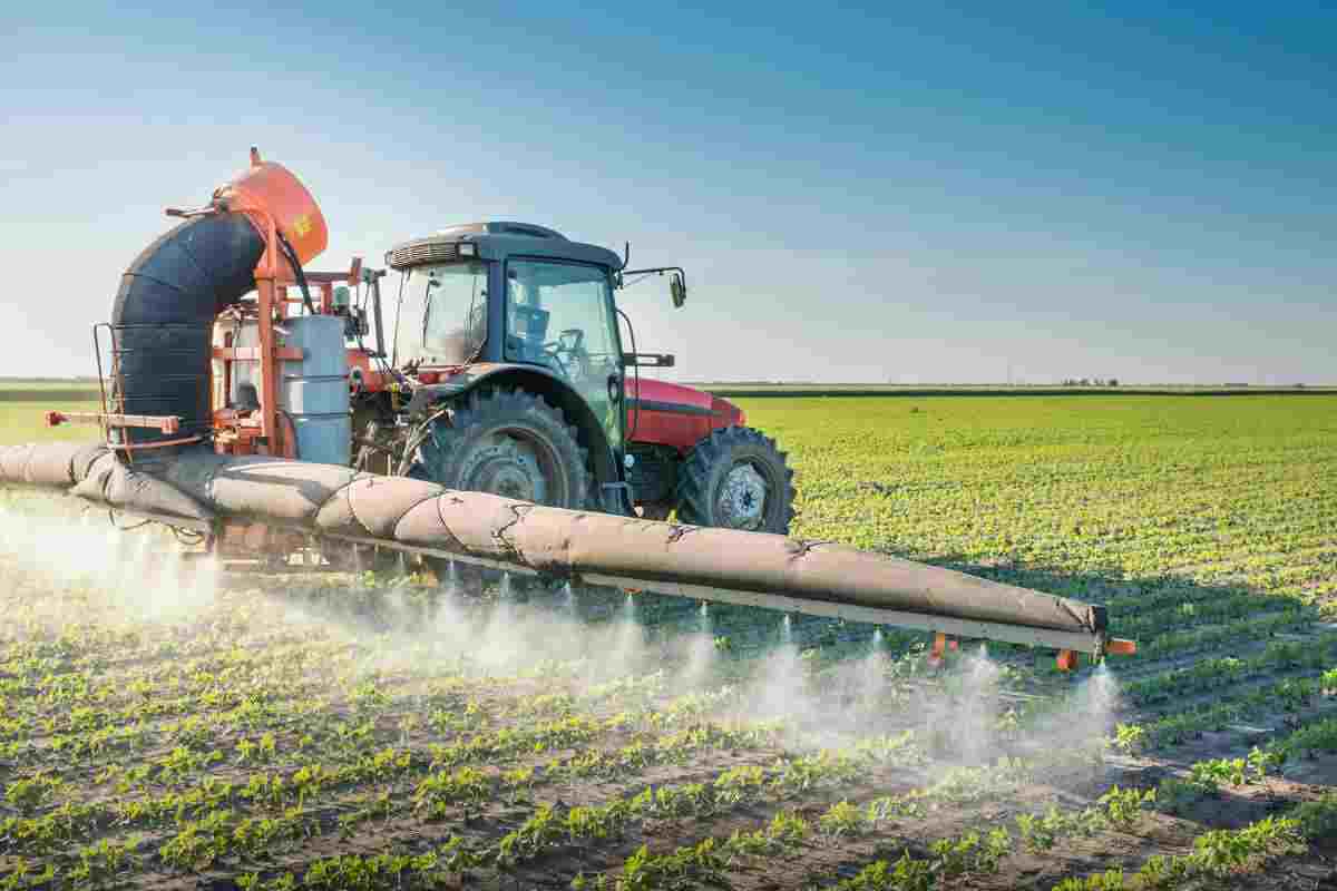 Meno pesticidi più biodiversità