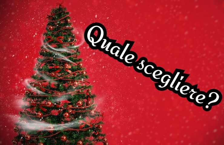 albero natale ecologico