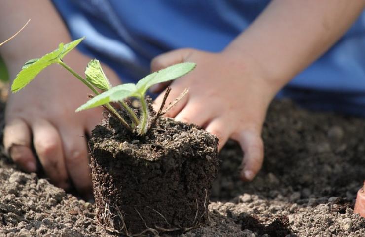 Meno pesticidi più biodiversità