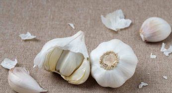 Bucce dell’aglio, non gettarle: puoi utilizzarle in giardino per le tue piante
