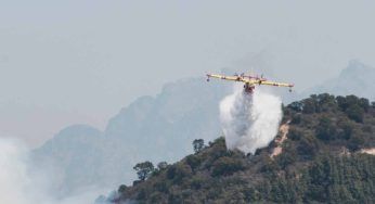 Vasto incendio nel parco: in corso le operazioni di spegnimento, richiesto l’intervento dei canadair