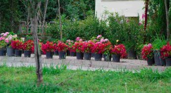 Vasi per le piante, come realizzarli riciclando vecchi oggetti per avere un giardino unico e originale