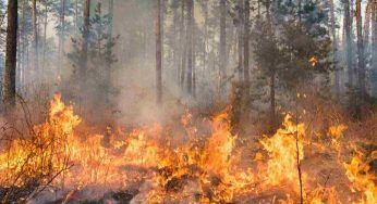 Emergenza incendi, i cittadini presentano una denuncia alla Procura: “Costretti a barricarci in casa”