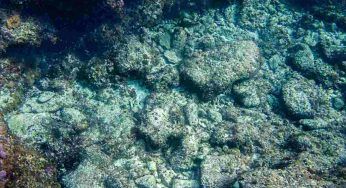 Ossigeno oscuro nei fondali oceanici: la scoperta che potrebbe anche riscrivere la storia dell’origine della Terra