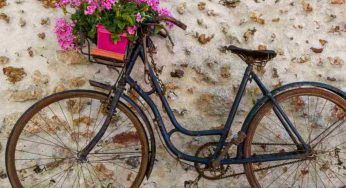 Come riciclare una vecchia bicicletta per abbellire il giardino: le idee originali