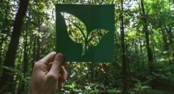 La tecnologia che trasforma il metano in combustibile green: la ricerca italiana