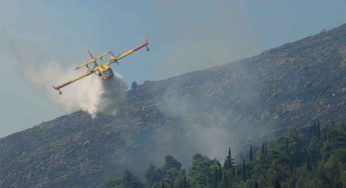 Grave incendio mette a rischio un’area boschiva: in corso le operazioni di spegnimento