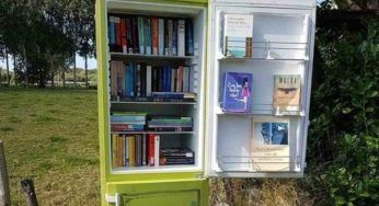 Vecchio frigorifero, invece di buttarlo puoi utilizzarlo così: trasformalo e abbellisci la tua casa