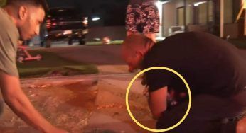 Il fuoco ha devastato tutto, l’uomo si getta in ginocchio in lacrime quando salvano LUI – VIDEO