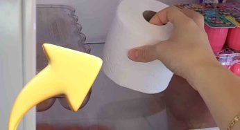 Perché tante persone mettono la carta igienica in frigorifero: la risposta è sorprendente