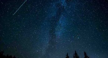 Perseidi, sta arrivando il picco delle stelle cadenti: quando sarà possibile ammirarlo