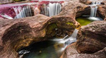 Colombia, lo spettacolo del fiume dai 5 colori
