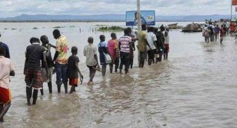 Nigeria, il maltempo fa crollare una diga: dall’acqua trasportati in città serpenti e coccodrilli dello zoo