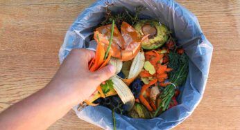 Spreco alimentare, in Italia nel 2024 è aumentato quasi del 50%