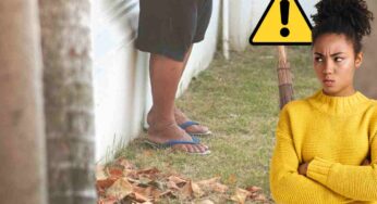 Ho il giardino invaso dalle foglie del vicino: ho scoperto che posso denunciarlo, ti spiego come ho fatto