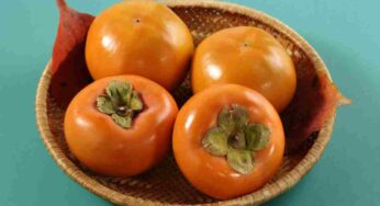 Cachi, sapevi che esiste un metodo per farli maturare più in fretta? E’ semplicissimo