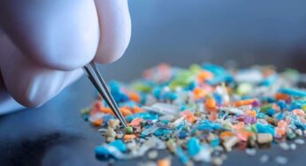 Microplastiche: arriva un nuovo studio che fa drizzare le orecchie