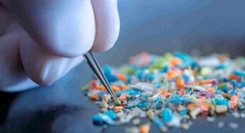 Scoperta mostruosa: l’equivalente di un cucchiaino di microplastiche nel cervello umano di tutti noi