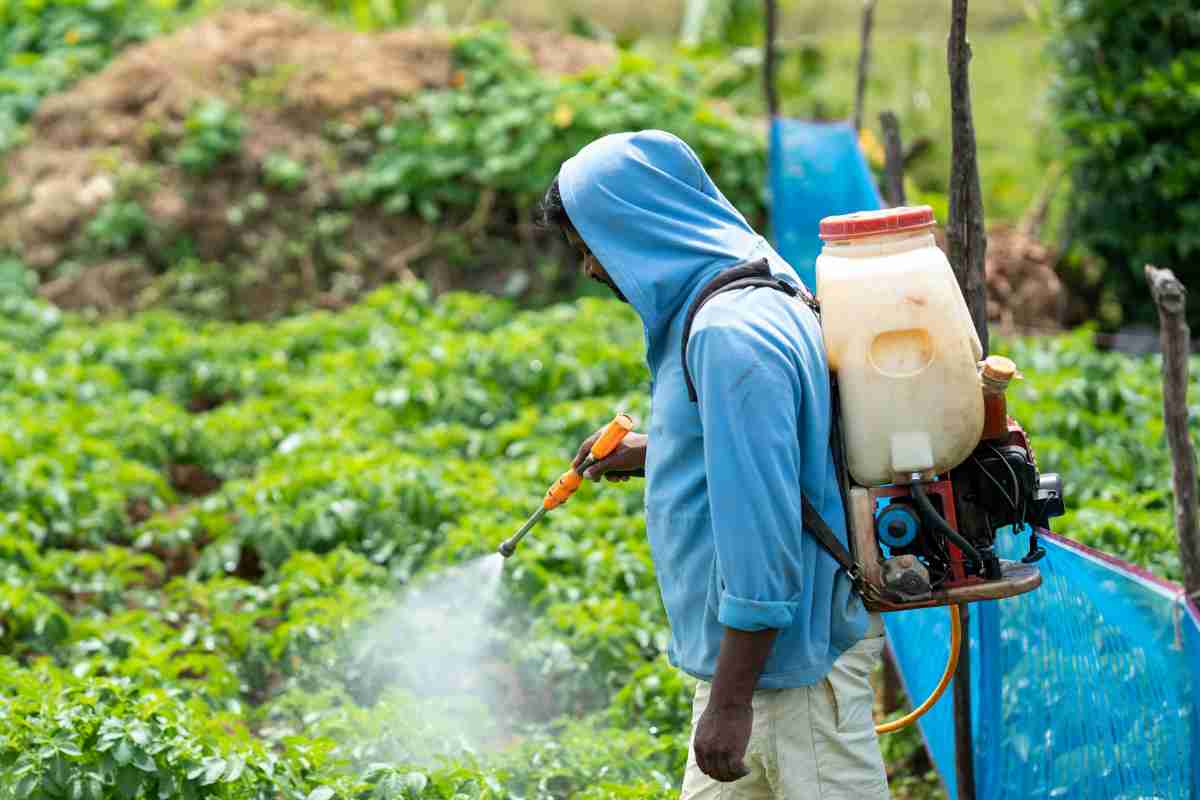 persona usa pesticida sulle piante