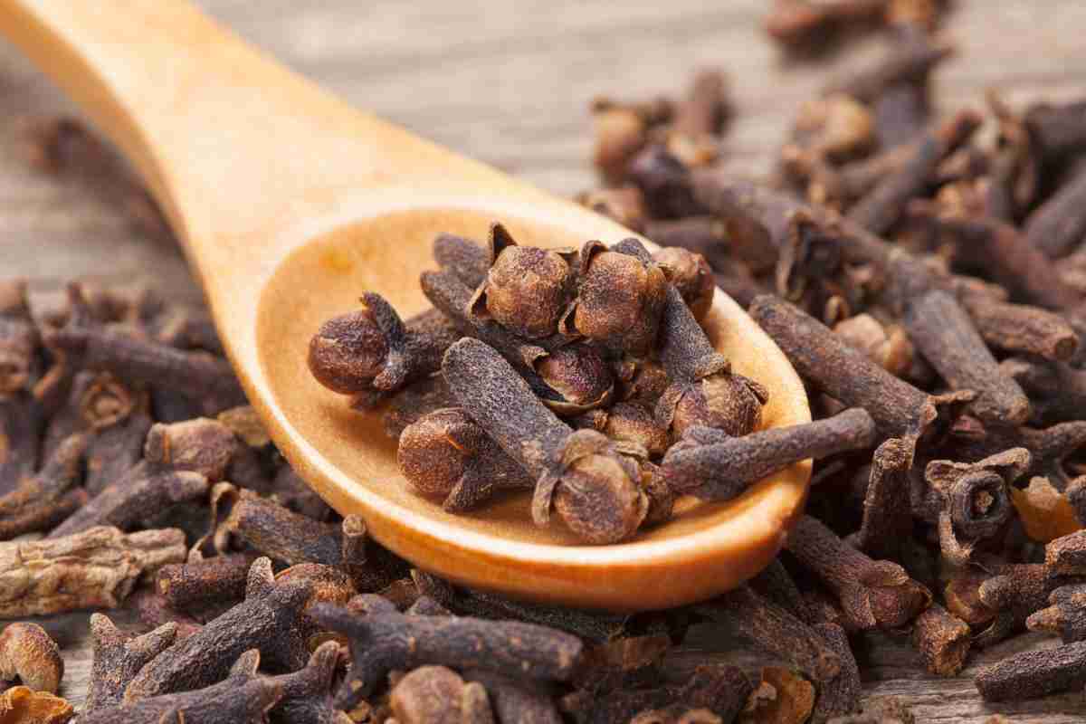 chiodi di garofano e un cucchiaio di legno su un tavolo