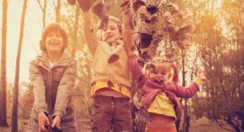 Perché la festa degli alberi si festeggia il 21 novembre: la storia e le origini di questa ricorrenza