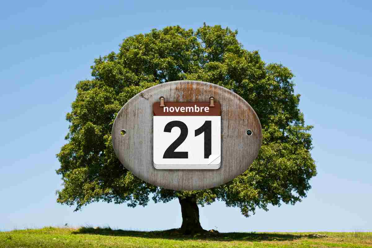 un albero e davanti la scritta 21 novembre