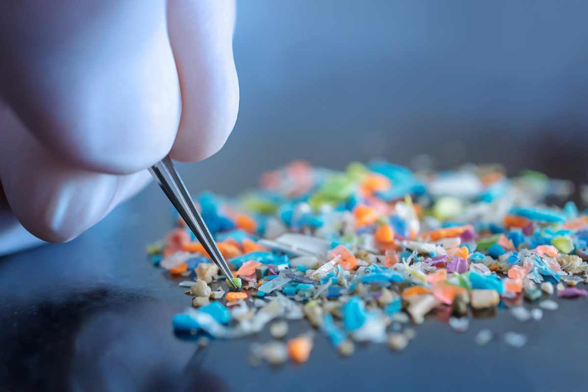 scienziato seleziona microplastiche