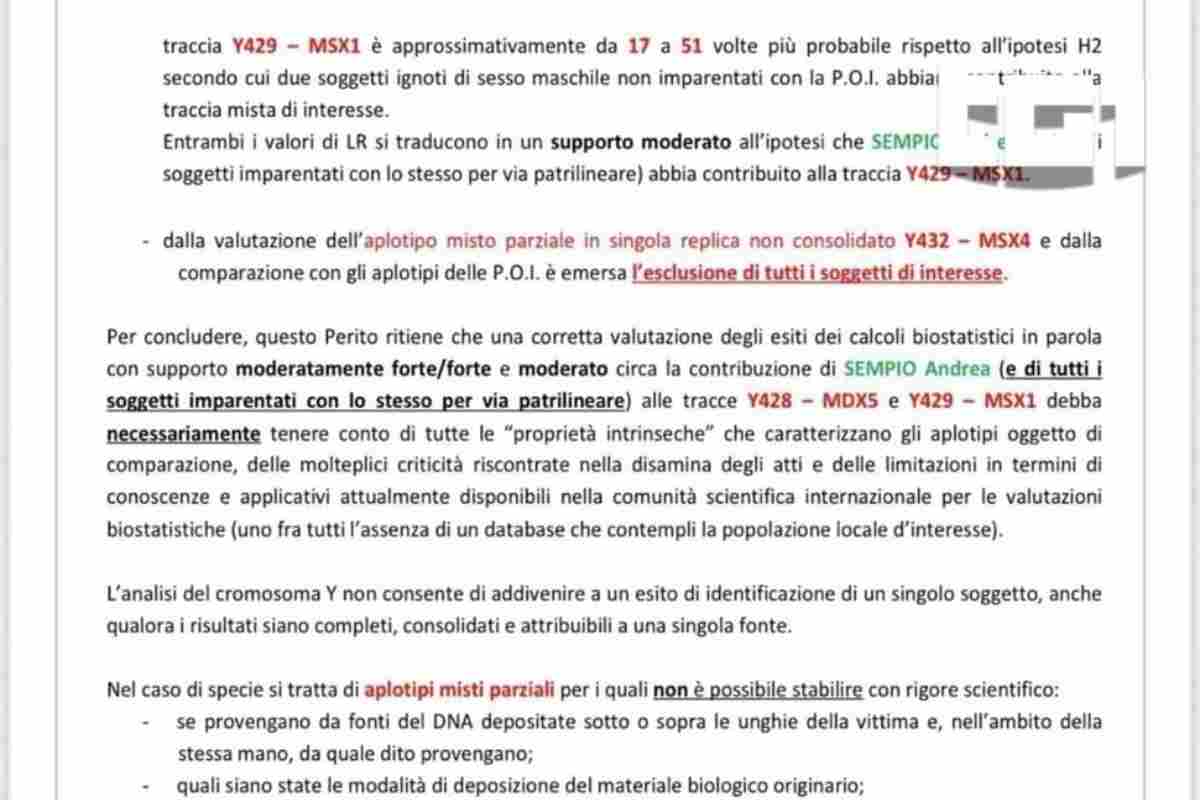 la perizia fatta vedere dal Tg1 ieri sera