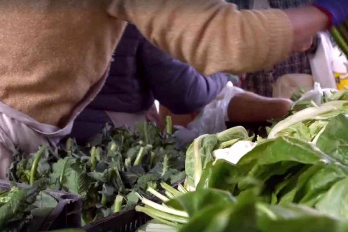 piccolo produttore vende al pubblico